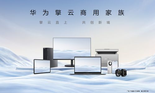 華為擎云亮相2024數(shù)博會(huì)，首發(fā)“中國行”建筑材料解決方案